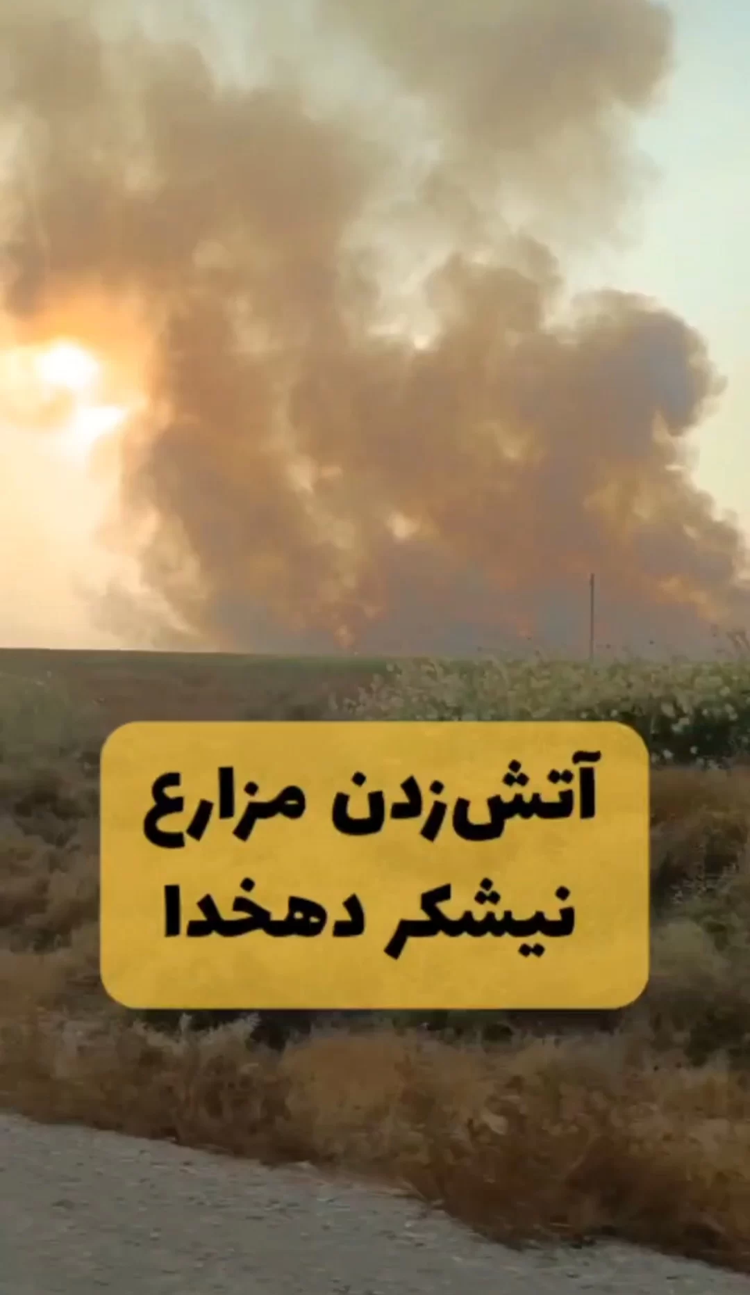فیلم دریافتی از آتش زدن مزارع نیشکر کشت و صنعت دهخدا فیلم دریافتی از آتش زدن مزارع نیشکر کشت و صنعت دهخدا